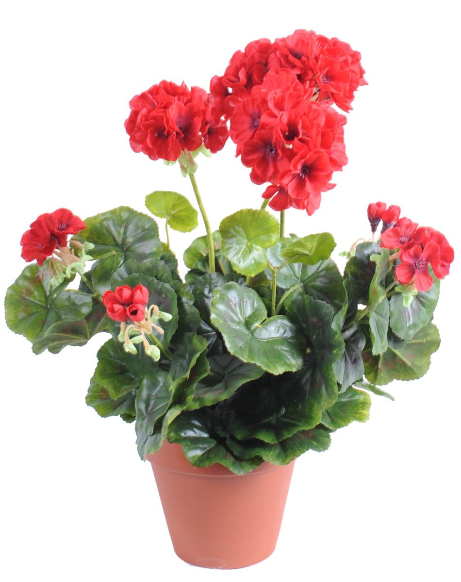 Géranium en piquet 5 têtes - Plante fleurie artificielle - H.40cm rouge