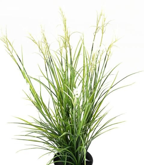 Graminée artificielle Acorus fleuri en pot - plante d'extérieur - H.70cm vert blanc