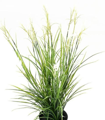 Graminée artificielle Acorus fleuri en pot - plante d'extérieur - H.70cm vert blanc