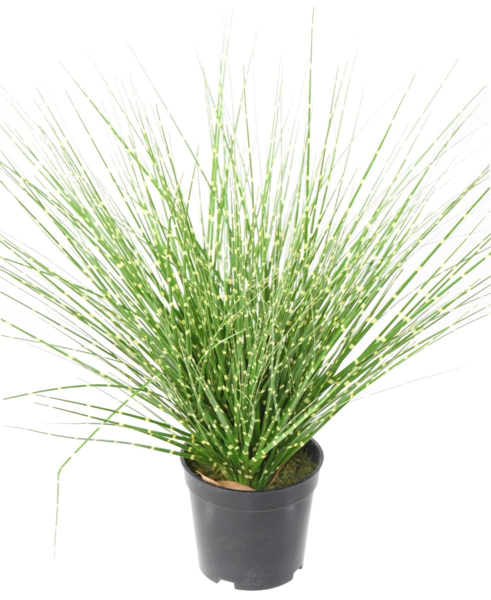 Graminée artificielle Miscanthus sinensis Zebrinus - intérieur - H.45cm vert jaune