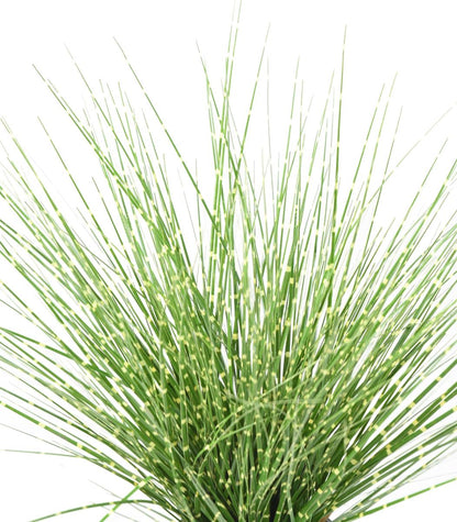 Graminée artificielle Miscanthus sinensis Zebrinus - intérieur - H.45cm vert jaune