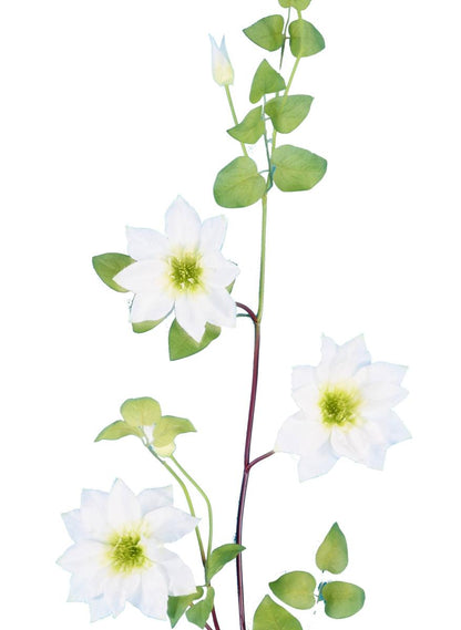 Guirlande artificielle Clématite 3 fleurs - décoration intérieure - H.107cm blanc