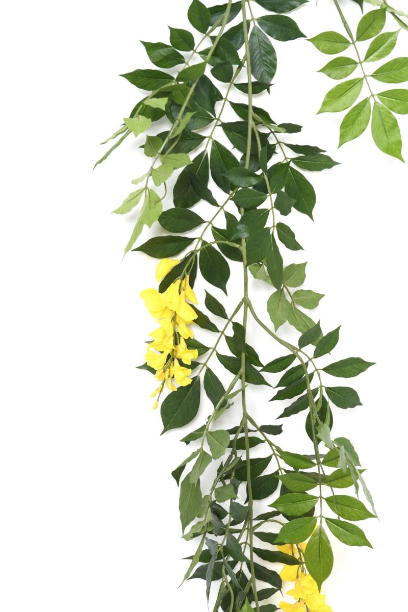 Guirlande artificielle Glycine - feuillage pour intérieur - H.180cm jaune