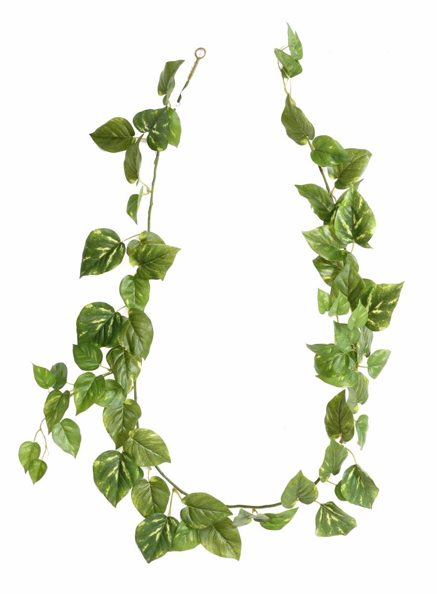 Guirlande artificielle Pothos 68 feuilles - décoration pour intérieur - H.180cm vert blanc