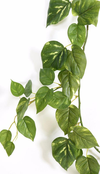 Guirlande artificielle Pothos 68 feuilles - décoration pour intérieur - H.180cm vert blanc