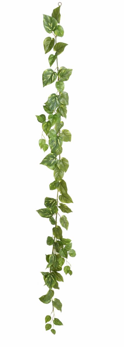 Guirlande artificielle Pothos 68 feuilles - décoration pour intérieur - H.180cm vert blanc