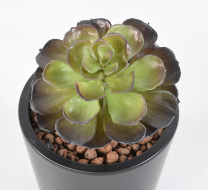 Mini plante artificielle Succulente NEW - cactus artificiel intérieur - H.22 cm