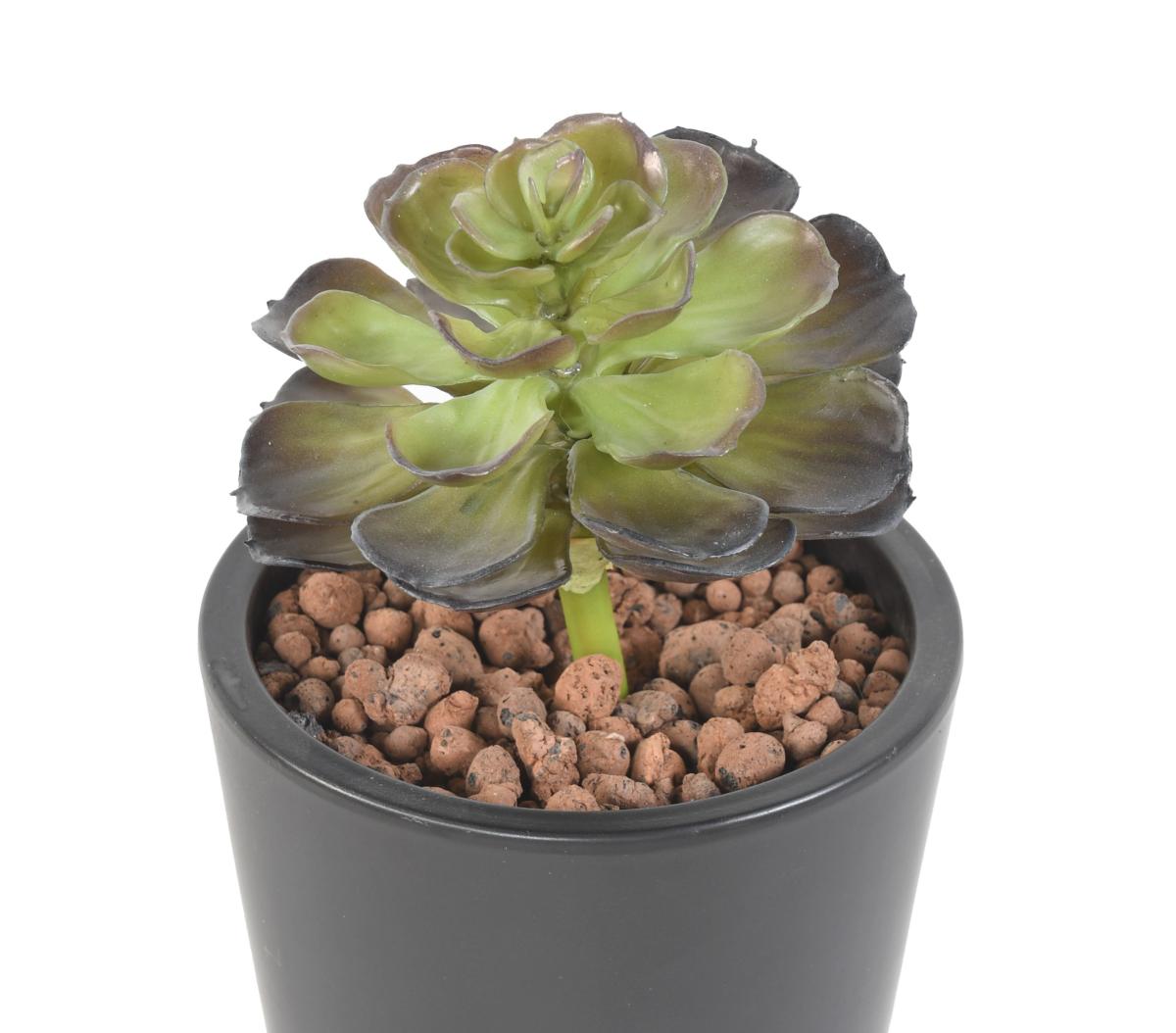 Mini plante artificielle Succulente NEW - cactus artificiel intérieur - H.22 cm