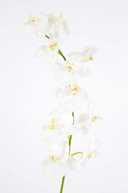 Orchidée artificielle Phalaenopsis 10 fleurs - création bouquet - H.160 cm blanc