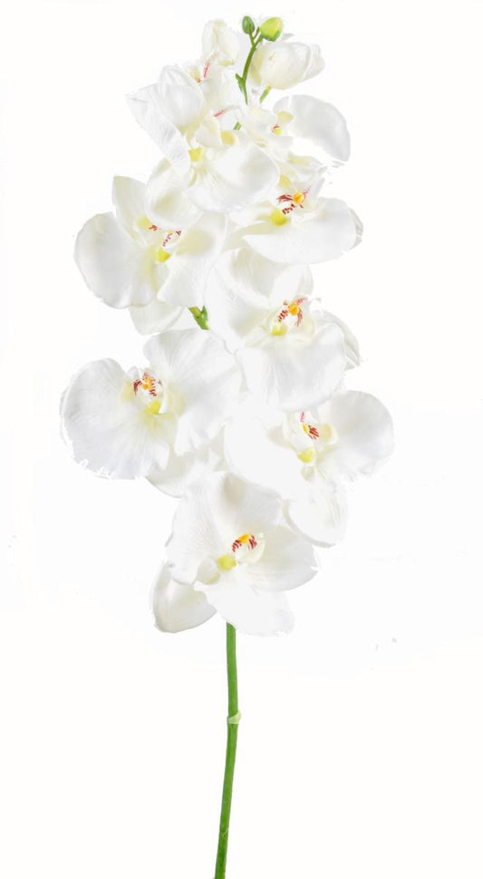 Orchidée artificielle Phalaenopsis tige large - création bouquet - H.110cm blanc