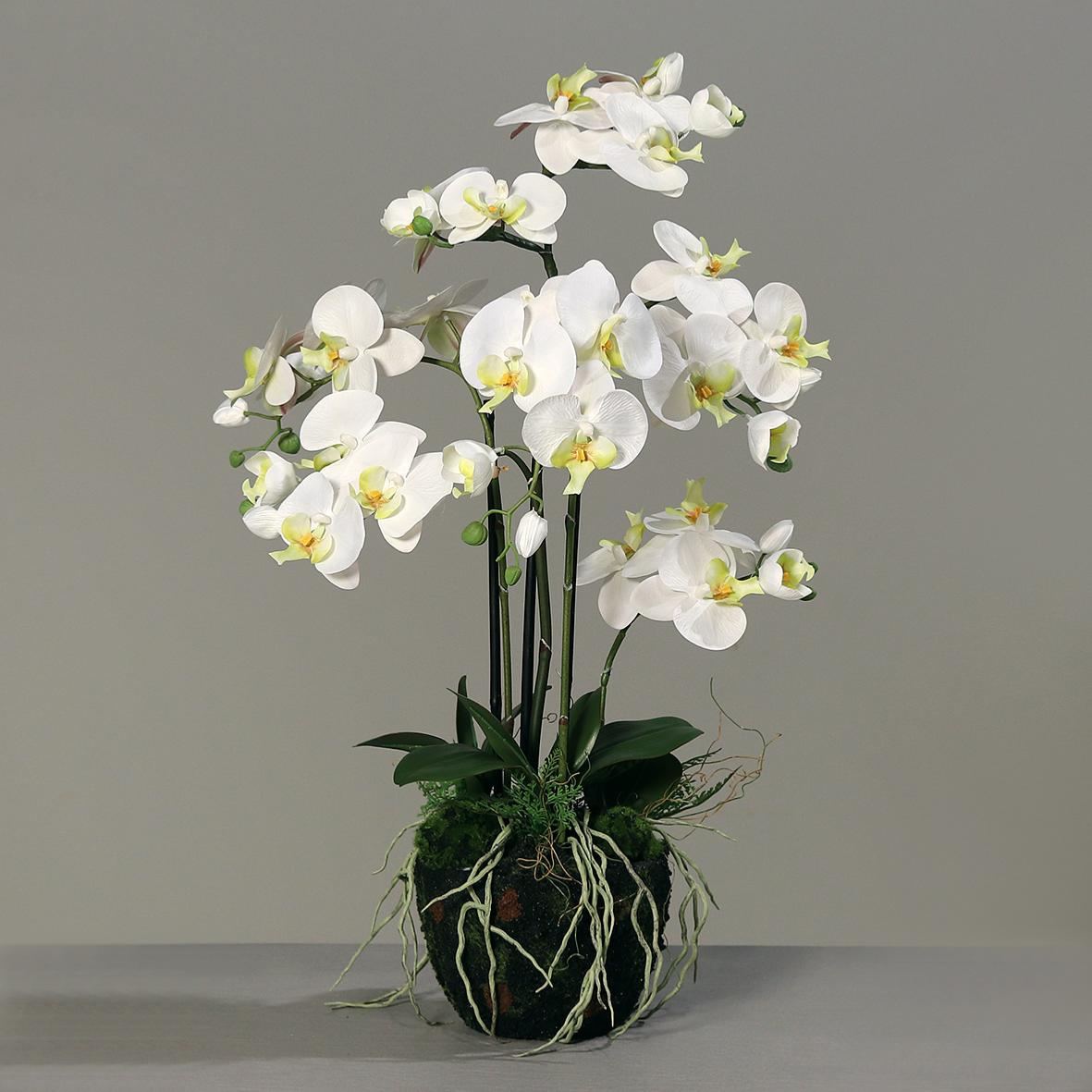 Fleur artificielle Orchidée Phalaenopsis en motte - plante d'intérieur - H.77cm crème