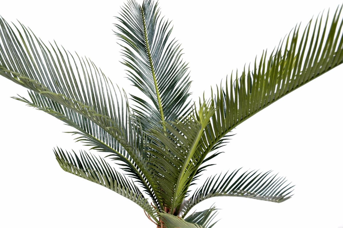 Palmier artificiel Cycas baby 10 feuilles - intérieur extérieur - H.60cm vert