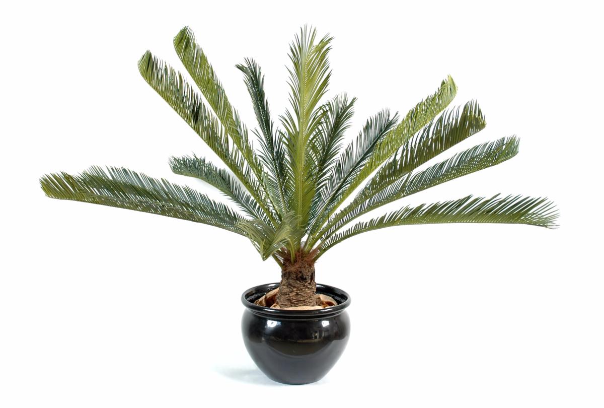 Palmier artificiel Cycas géant 15 palmes - plante d'intérieur - H.100cm vert