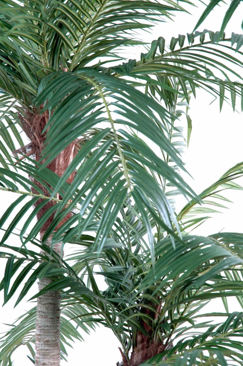 Palmier artificiel Phoenix 3 troncs - plante intérieur - H.225cm vert