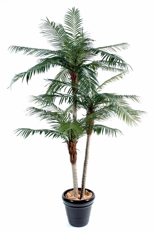 Palmier artificiel Phoenix 3 troncs - plante intérieur - H.225cm vert