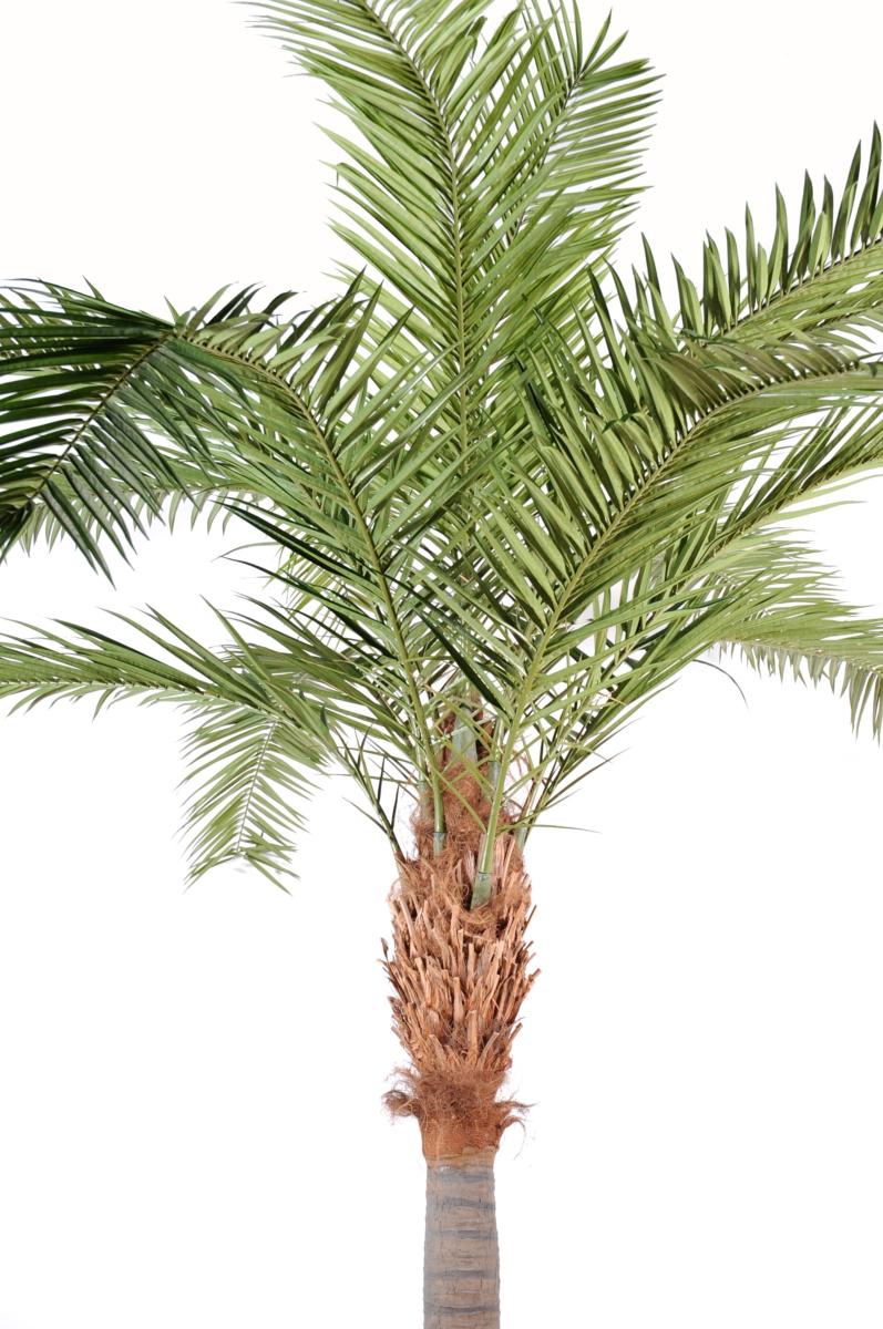 Palmier artificiel Phoenix Canariensis - plante artificielle luxe - H.380cm vert