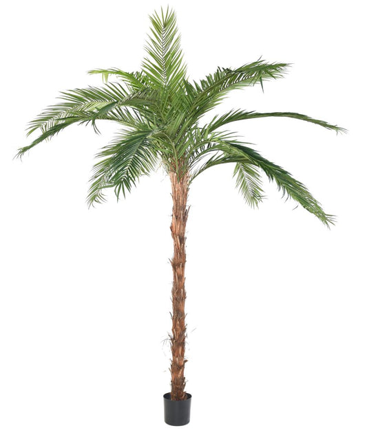 Palmier artificiel Phoenix Canariensis - plante intérieur - H.370cm vert