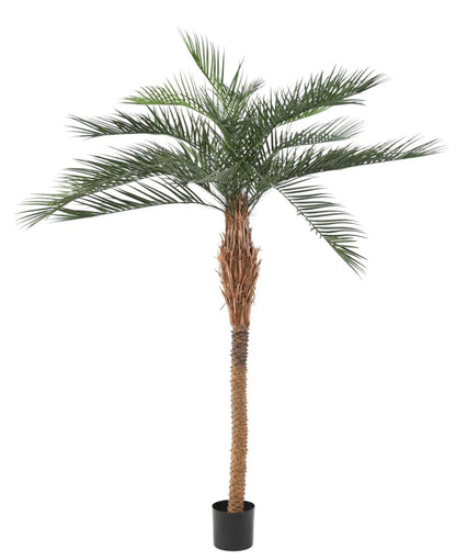 Palmier artificiel Phoenix PLAST - arbre pour extérieur - H.220cm vert