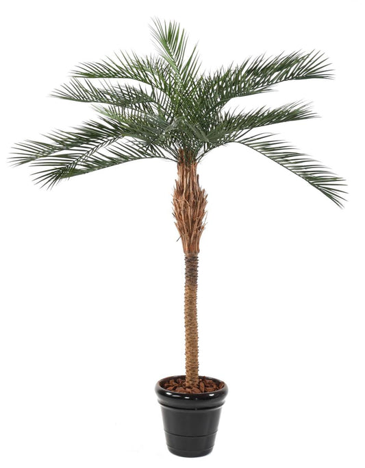 Palmier artificiel Phoenix PLAST - arbre pour extérieur - H.290cm vert