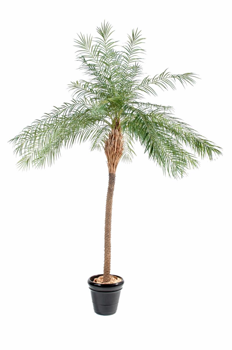 Palmier artificiel Phoenix New - plante d'intérieur - H.190cm vert