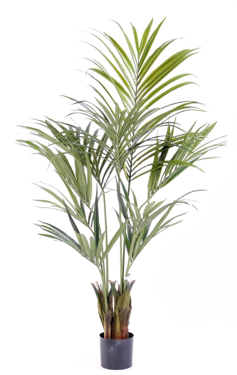Palmier artificiel kentia Palm - décoration d'intérieur - H.145cm vert