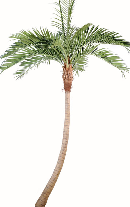 Palmier coconut courbe new - plante artificielle d'intérieur - H.400cm