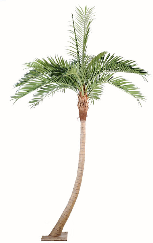 Palmier coconut courbe new - plante artificielle d'intérieur - H.270cm