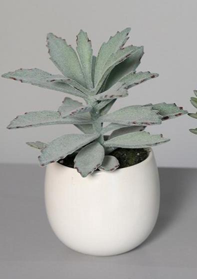 Plante artificielle 3 succulentes en pot blanc - cactus d'intérieur - H.15cm