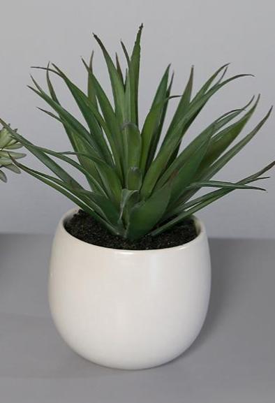 Plante artificielle 3 succulentes en pot blanc - cactus d'intérieur - H.15cm