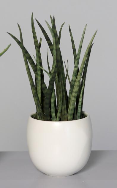 Plante artificielle 3 succulentes pots blancs en céramique - cactus d'intérieur - H.25cm