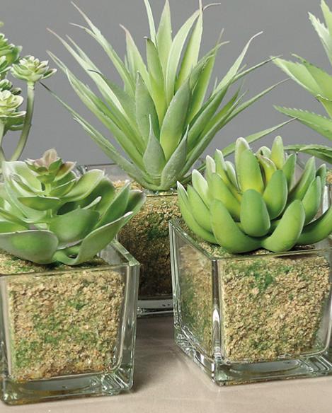 Plante artificielle 6 succulentes avec pots en verre - cactus d'intérieur - H.16cm