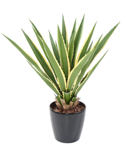 Plante artificielle Agave Furcraea - intérieur extérieur - H.110cm vert jaune