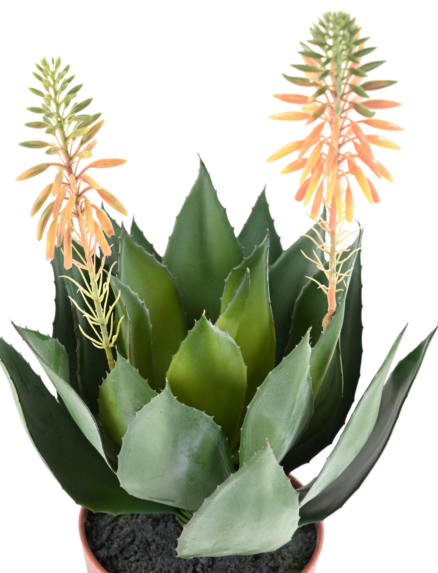 Plante artificielle Agave fleurie en pot - cactus artificiel intérieur - H.50cm vert