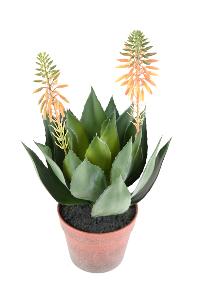 Plante artificielle Agave fleurie en pot - cactus artificiel intérieur - H.50cm vert