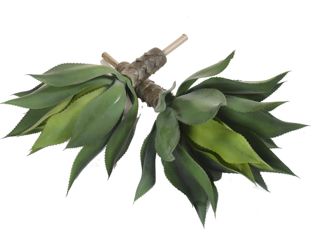 Plante artificielle Agave tige de plantation - cactus pour intérieur - H.60cm