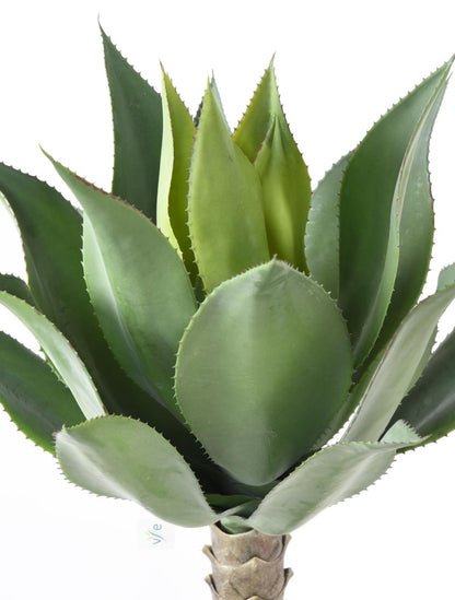 Plante artificielle Agave tige de plantation - cactus pour intérieur - H.75cm