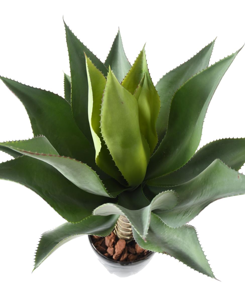 Plante artificielle Agave tige de plantation - cactus pour intérieur - H.75cm