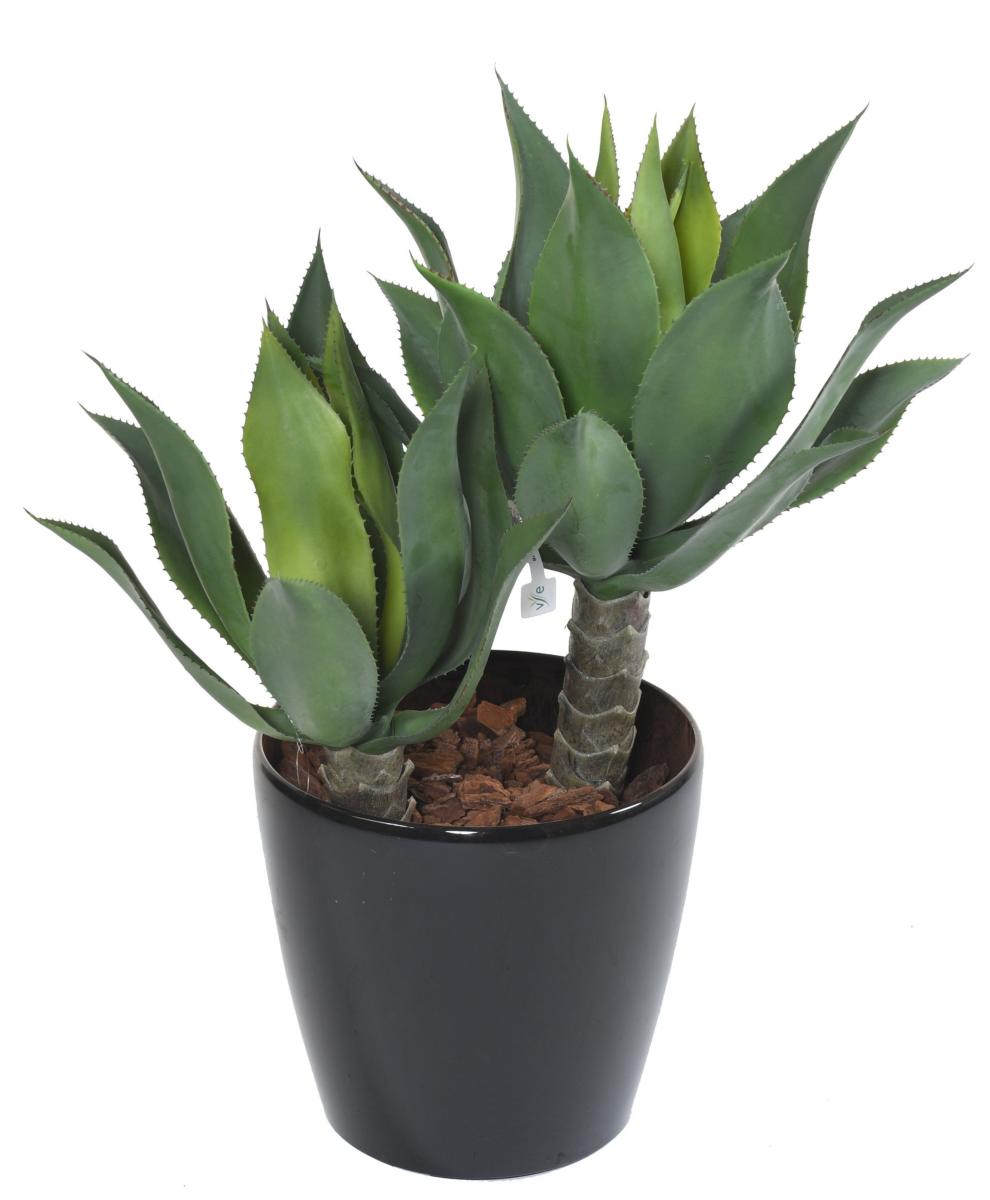 Plante artificielle Agave tige de plantation - cactus pour intérieur - H.75cm