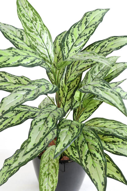Plante artificielle Aglaonema en piquet -plante d'intérieur - H.80cm vert