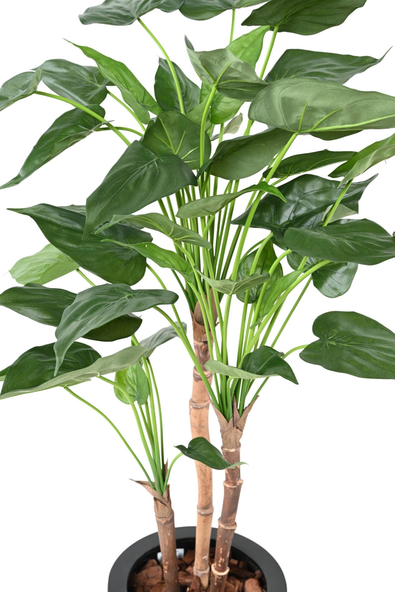 Plante artificielle Alocasia Cucullata - plante tropicale d'intérieur - H.110cm