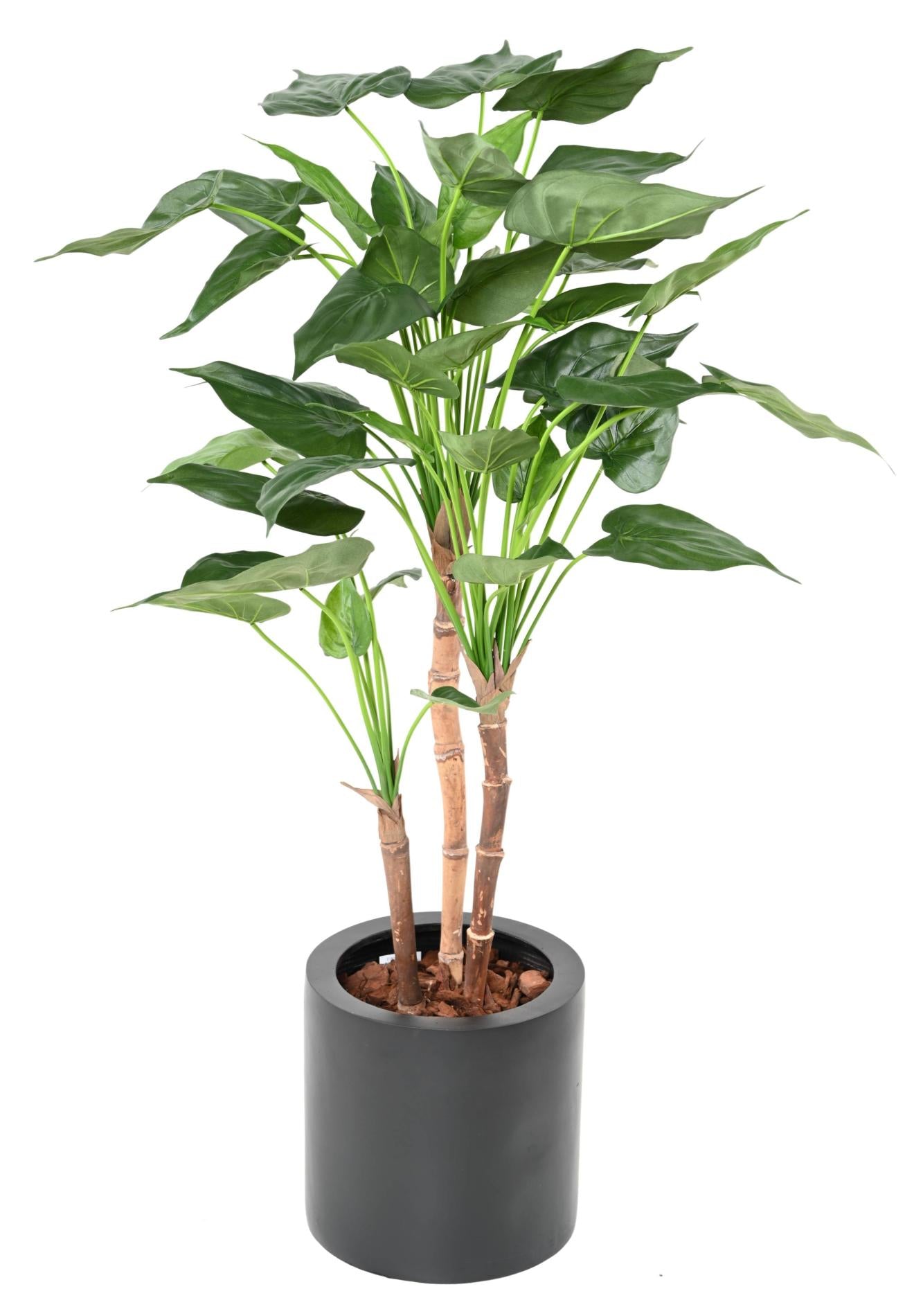 Plante artificielle Alocasia Cucullata - plante tropicale d'intérieur - H.110cm