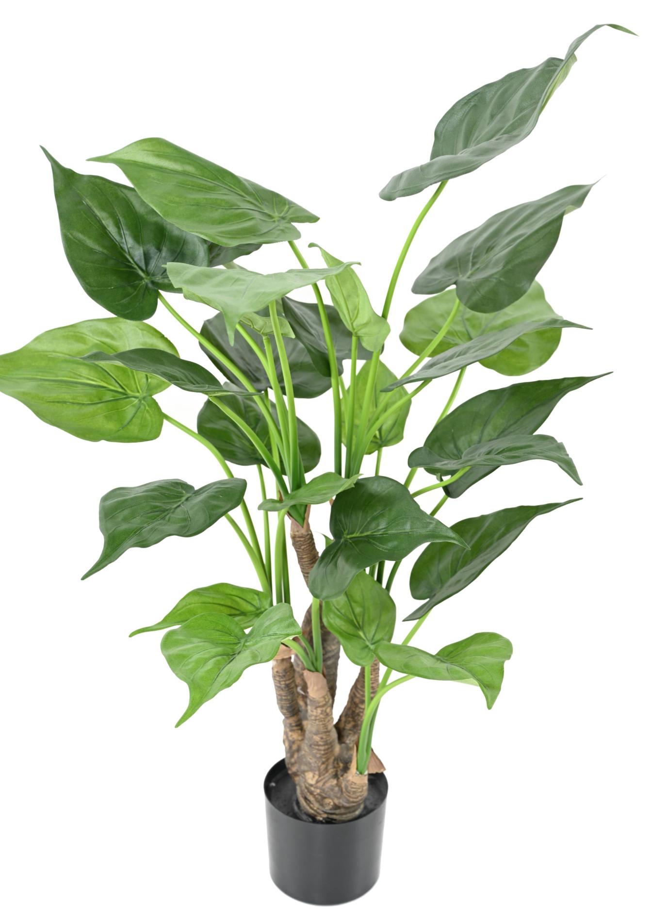 Plante artificielle Alocasia Cucullata - plante tropicale d'intérieur - H.80cm