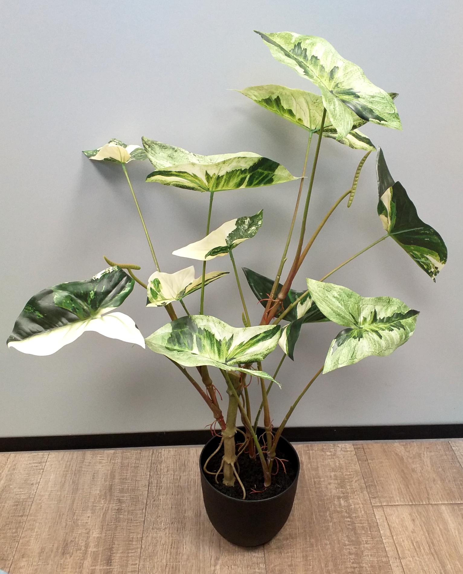 Plante artificielle Alocasia en pot - plante d'intérieur - H.75cm vert crème