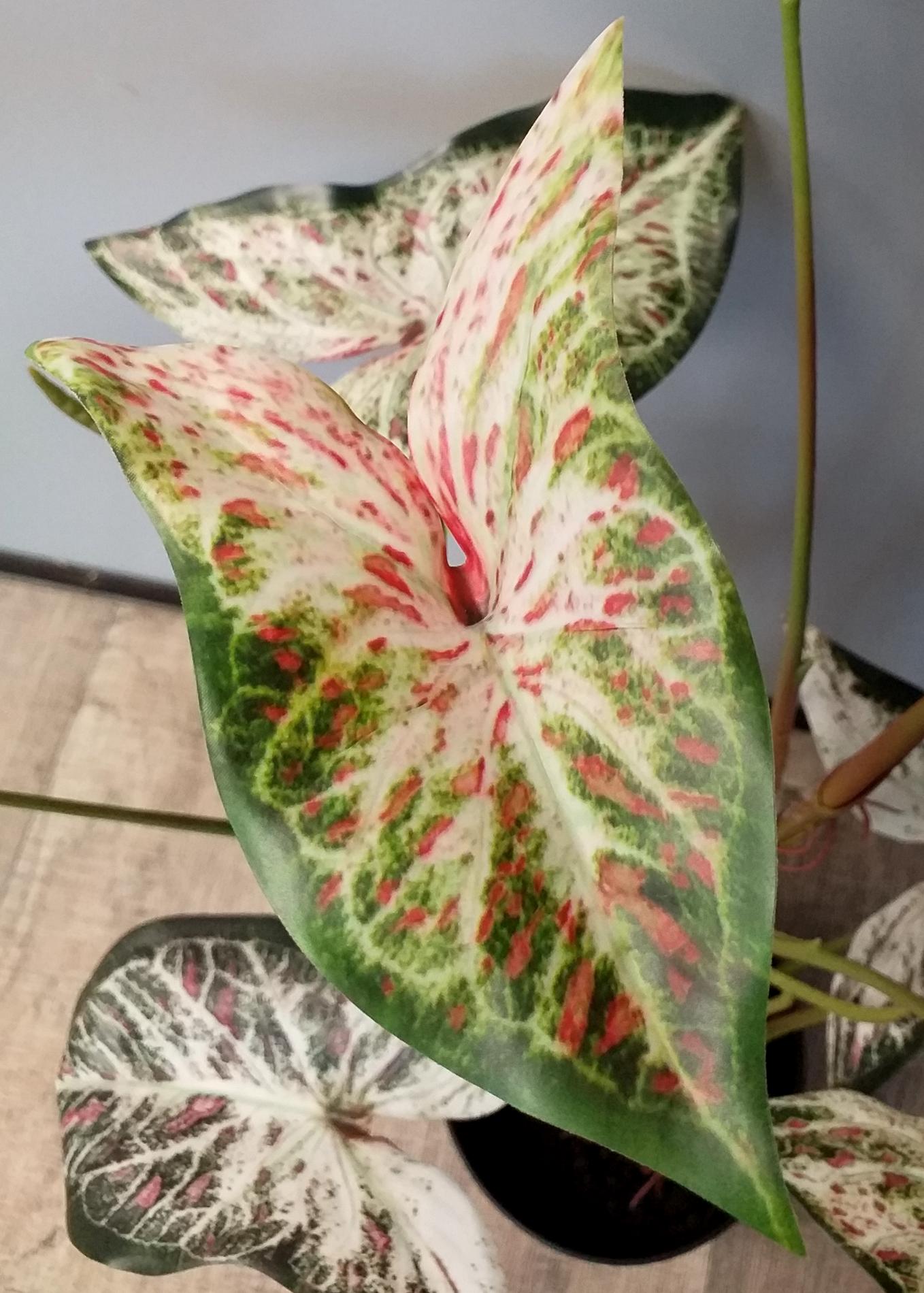 Plante artificielle Alocasia en pot - plante d'intérieur - H.75cm vert rouge