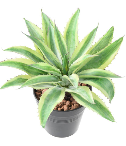 Plante artificielle Aloe en piquet - cactus artificiel intérieur - H.27cm vert jaune