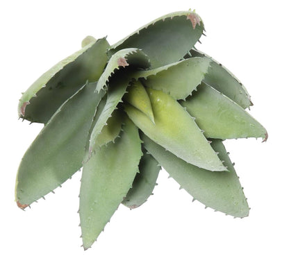 Plante artificielle Aloevera en piquet - cactus artificiel 12 feuilles - H.32cm vert