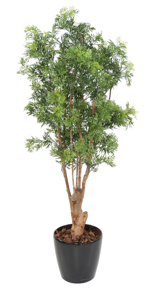 Plante artificielle Aralia Ming Nitida UV - intérieur extérieur - H.170cm vert