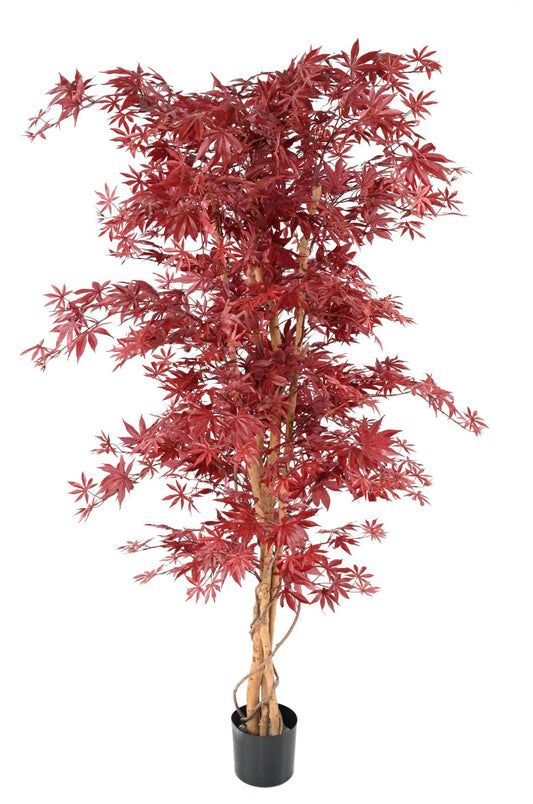 Plante artificielle Aralia New - érable synthétique pour intérieur - H.190cm rouge