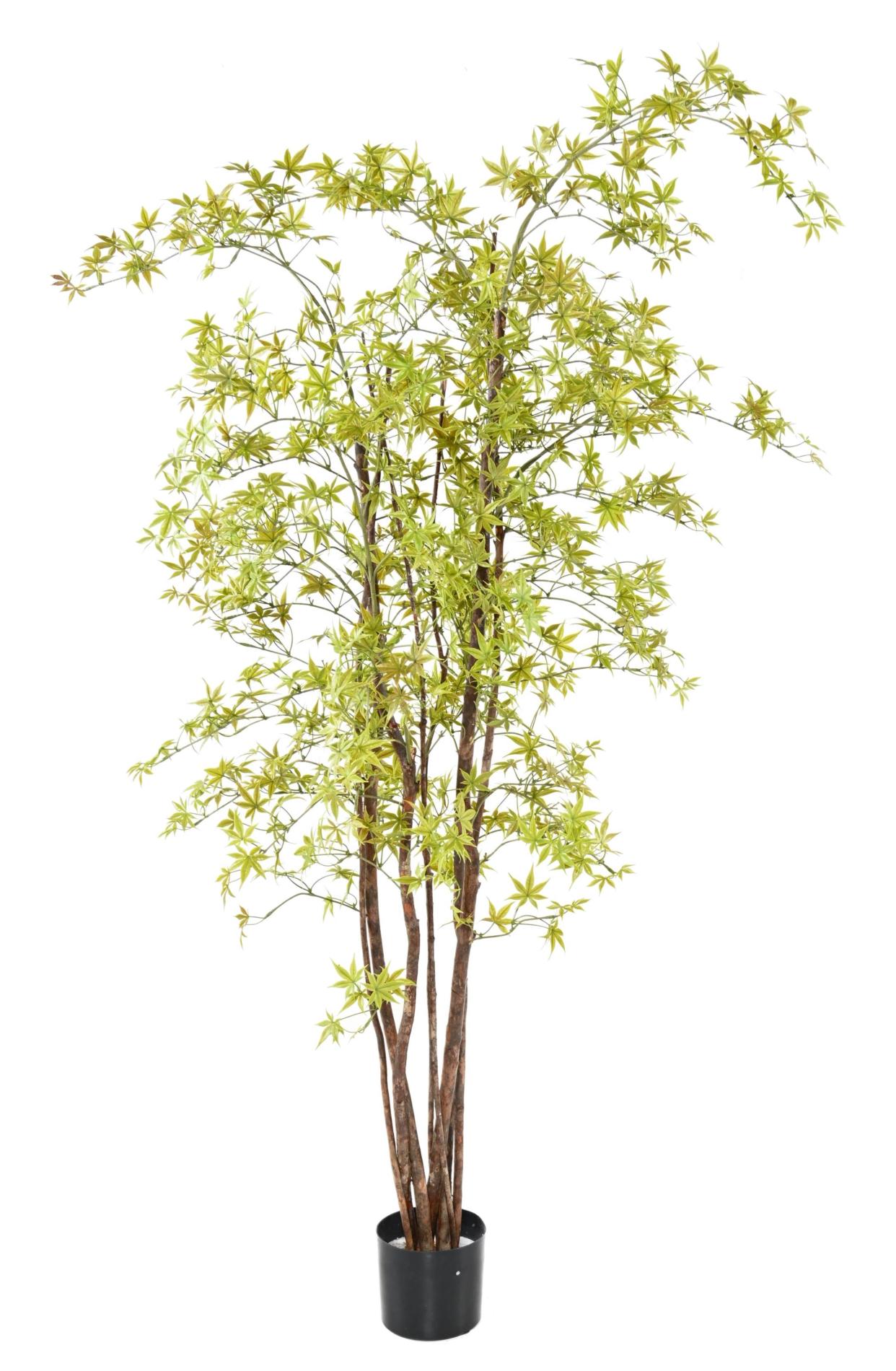 Plante artificielle Aralia Plastique UV (érable) - intérieur extérieur - H.180cm vert