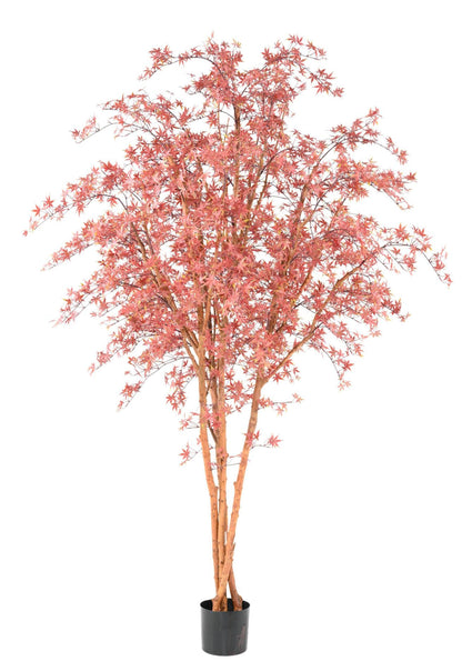 Plante artificielle Aralia Tree PE UV (érable) - intérieur extérieur - H.270cm rouge